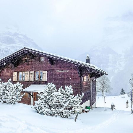 Apartment Chalet Blaugletscher By Interhome Grindelwald Exterior photo